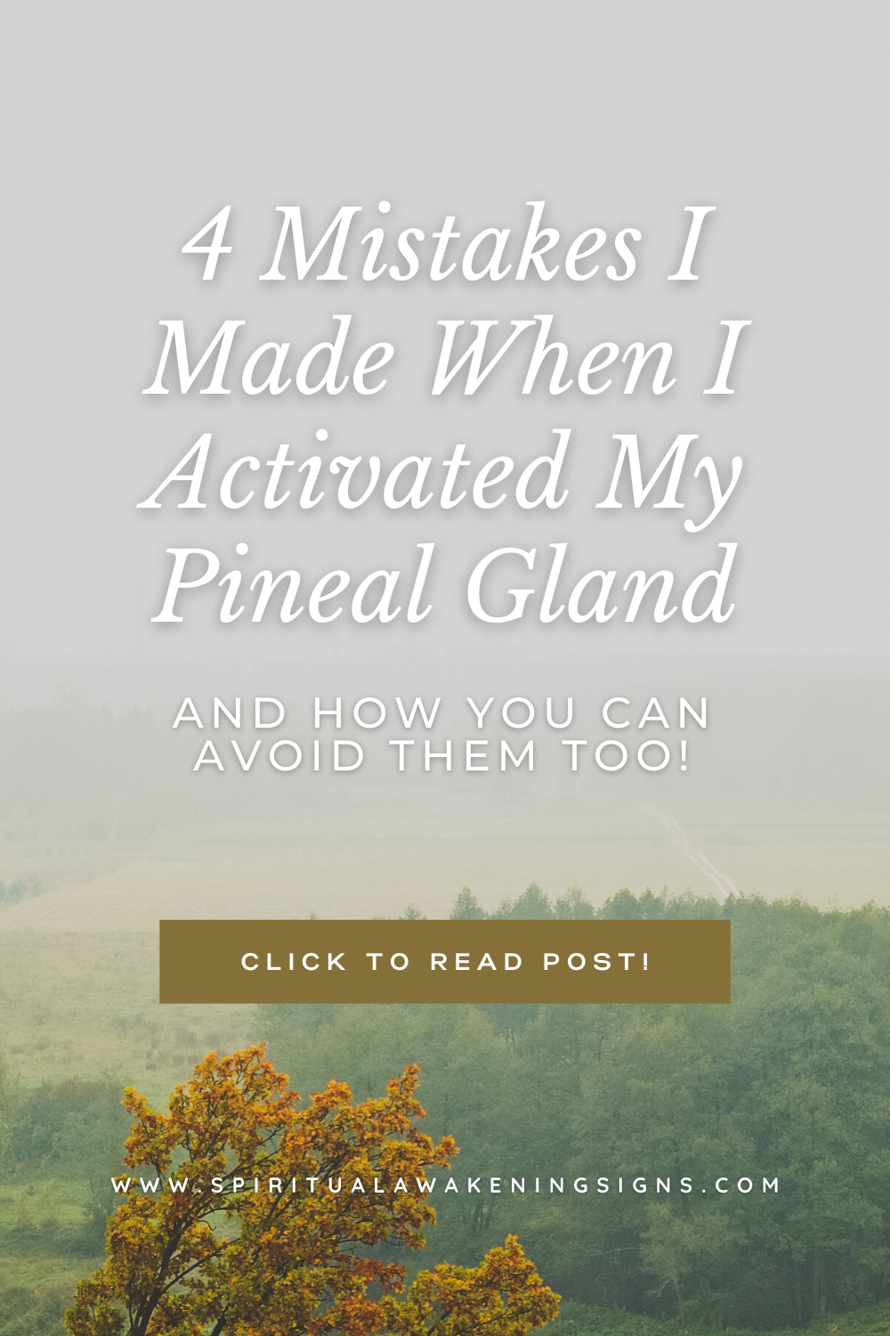 4 Mistakes I Made When I Activated My Pineal Gland (and how you can avoid them too!)