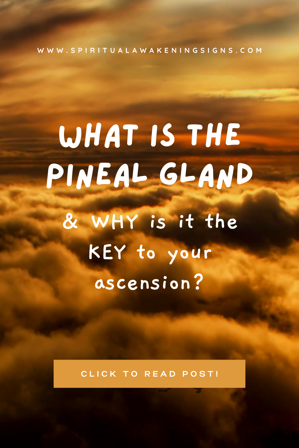 What IS The Pineal Gland (and WHY is it the KEY to your ascension?)