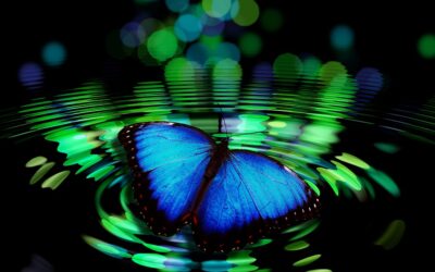 6 Reasons Why You Need Energy Grounding For Ascension