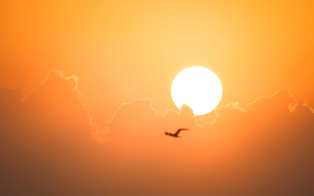 Sunrise over a field with golden light, representing Summer Solstice energy